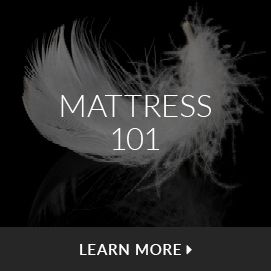Mattress 101. Learn More.